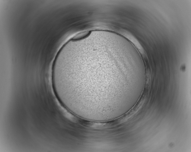 X0000102351439200808151740