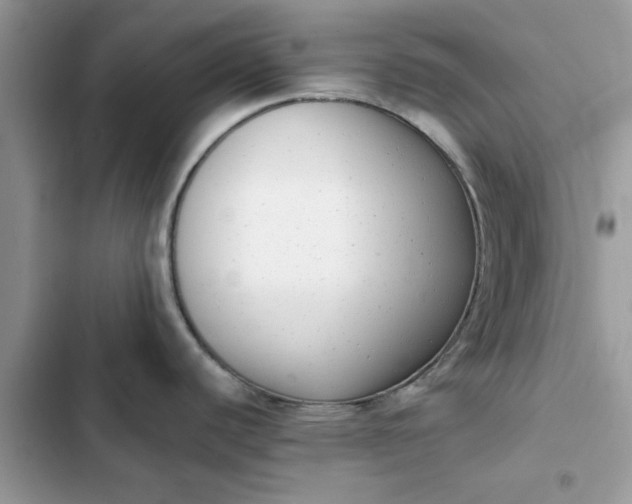 X0000102351440200808151740