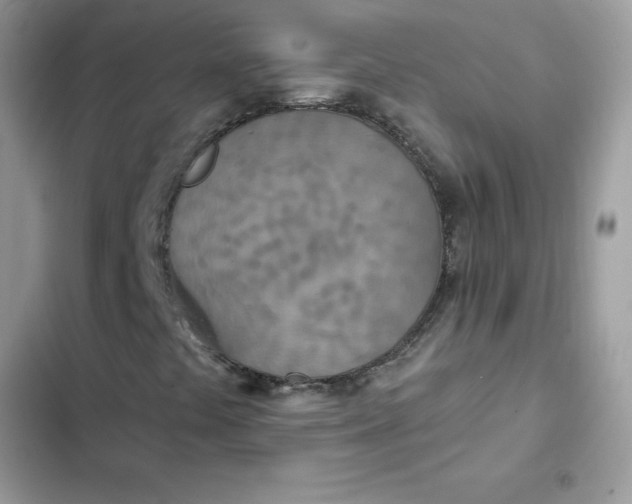 X0000102351441200808151740