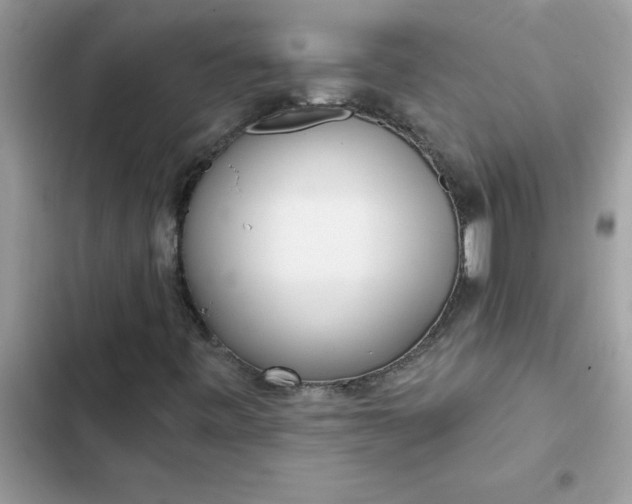 X0000102351443200808151740