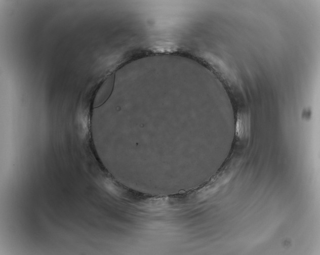 X0000102351444200808151740