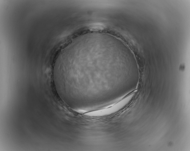 X0000102351445200808151740