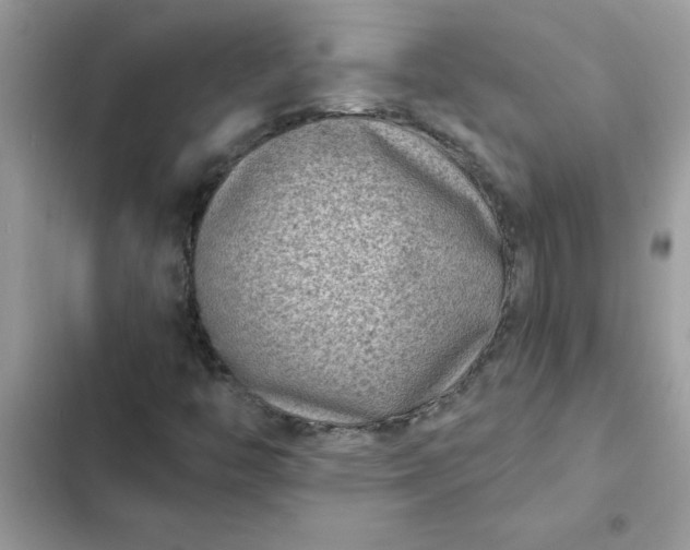 X0000102351446200808151740