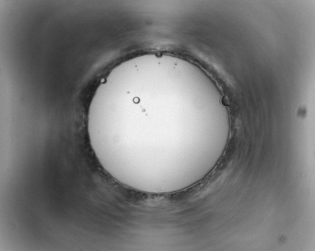 X0000102351447200808151740