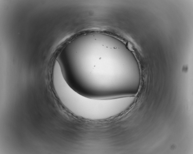 X0000102351448200808151740