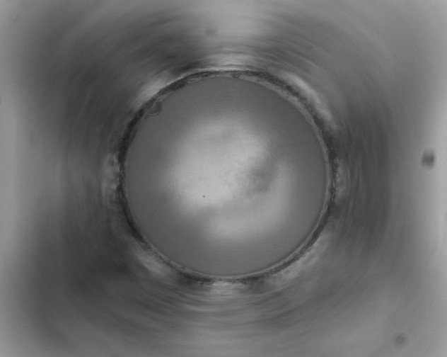 X0000102351449200808151740