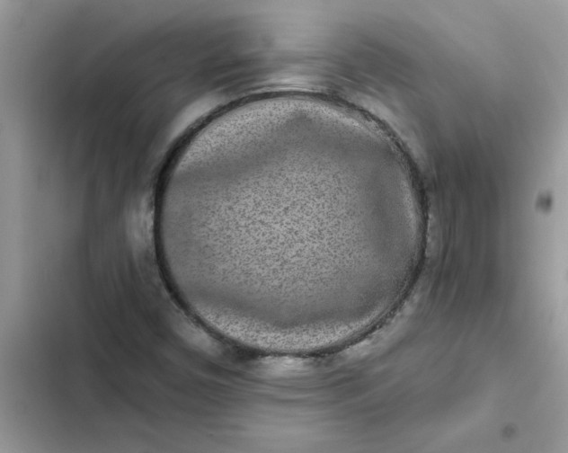 X0000102351450200808151740