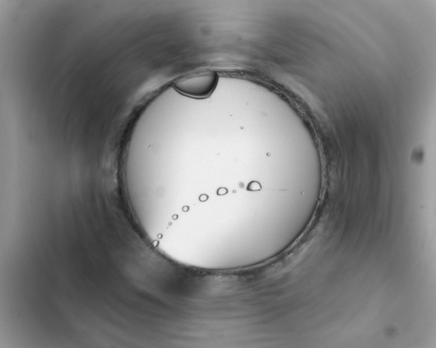 X0000102351451200808151740