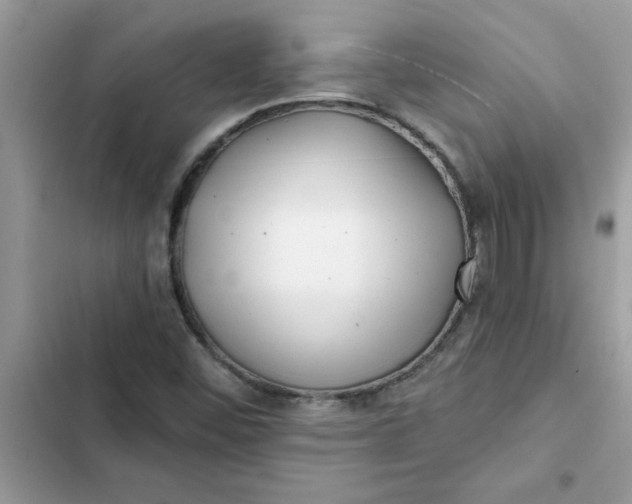 X0000102351452200808151740