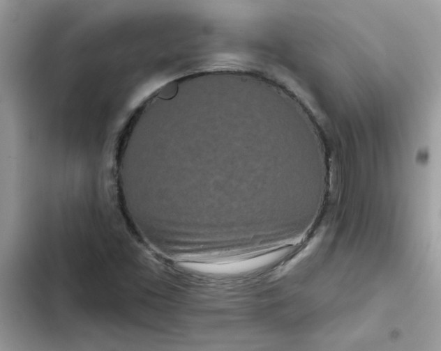 X0000102351453200808151740