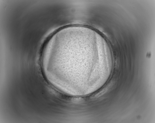 X0000102351454200808151740