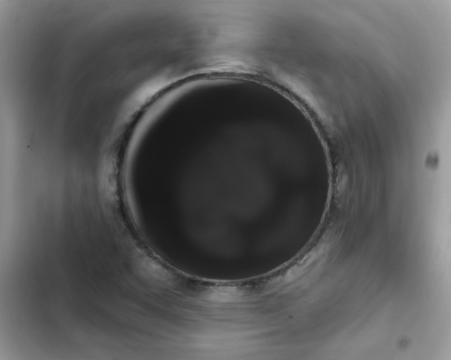 X0000102351455200808151740