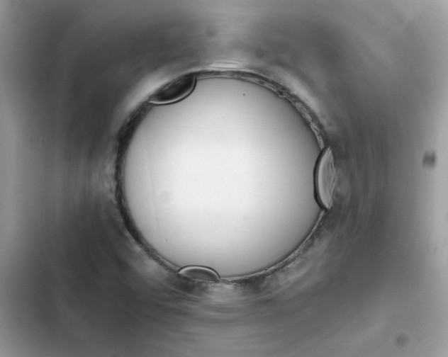 X0000102351456200808151740