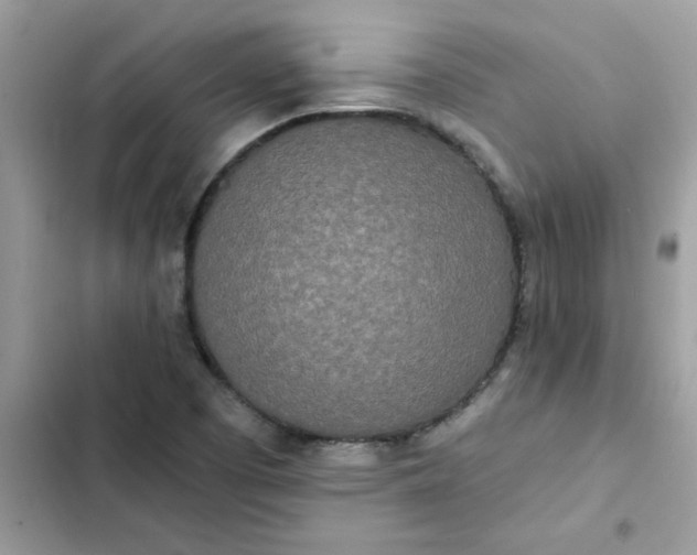 X0000102351457200808151739