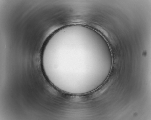 X0000102351458200808151739