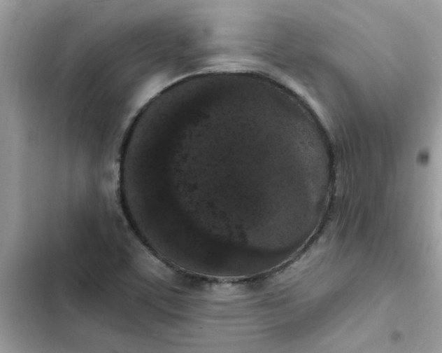 X0000102351459200808151739