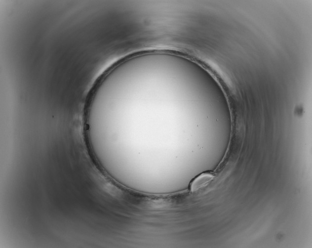 X0000102351460200808151739