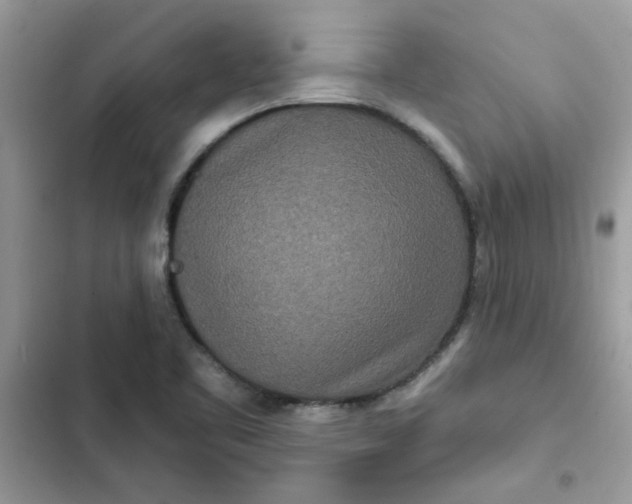 X0000102351461200808151739