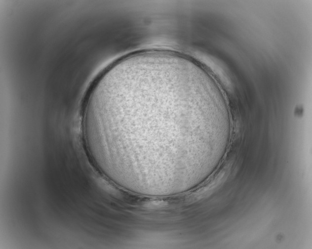 X0000102351462200808151739