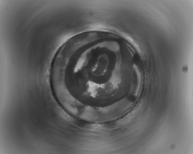 X0000102351463200808151739