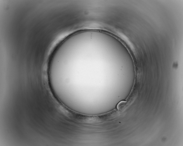 X0000102351464200808151739