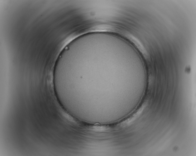 X0000102351465200808151739