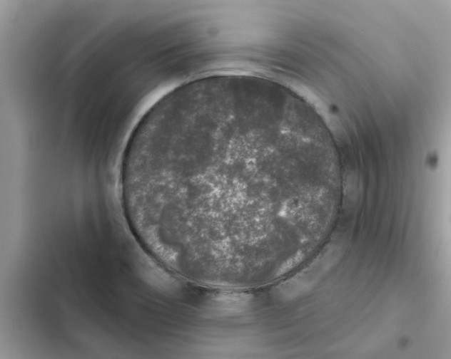 X0000102351466200808151739