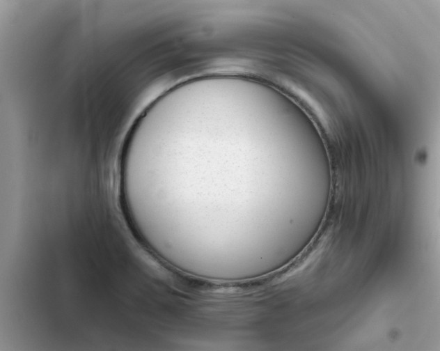 X0000102351467200808151739