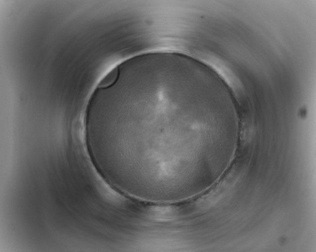 X0000102351468200808151739