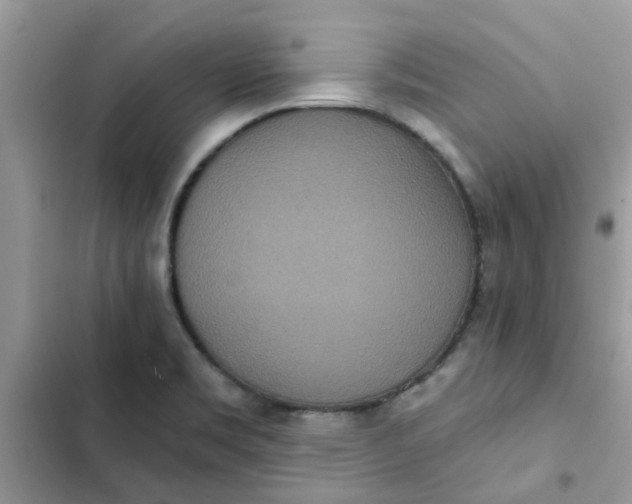 X0000102351469200808151739