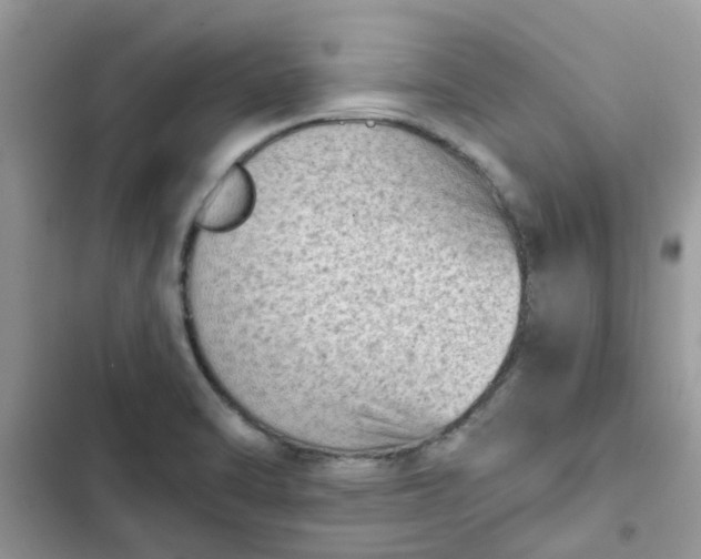 X0000102351470200808151739