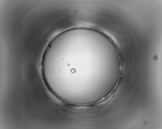 X0000102351471200808151739