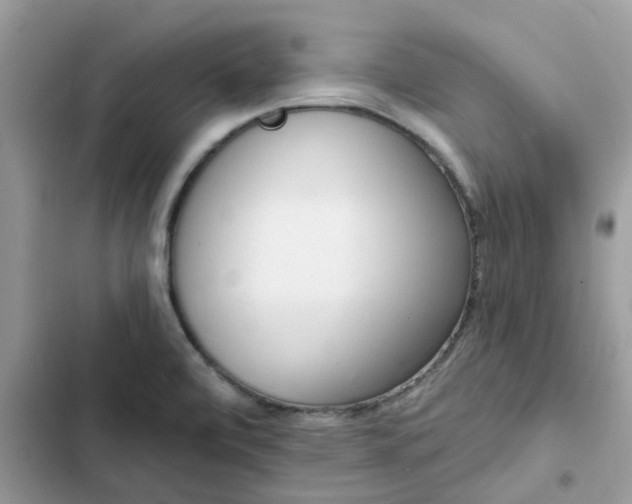 X0000102351472200808151739