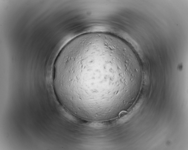 X0000102351473200808151739