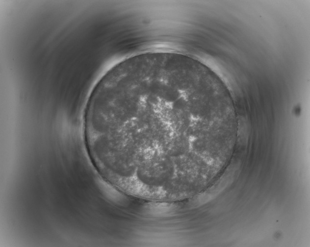 X0000102351474200808151739