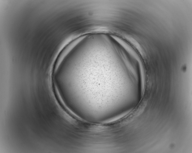 X0000102351475200808151739