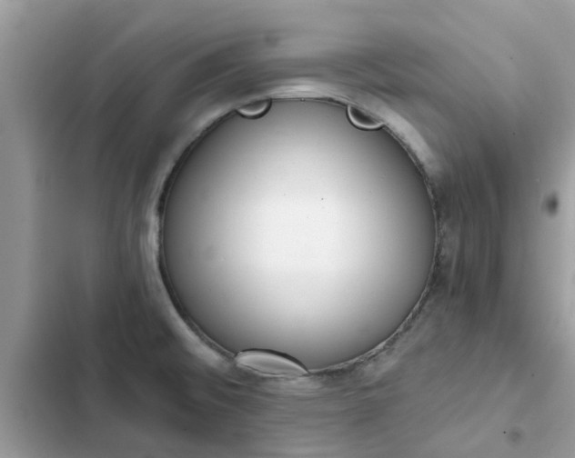 X0000102351476200808151739