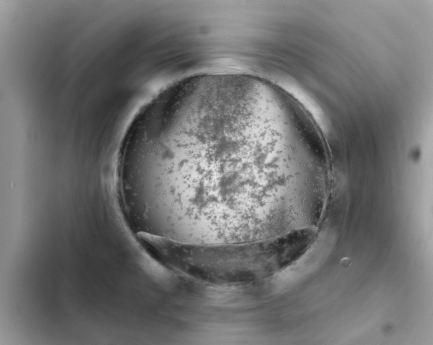 X0000102351477200808151739