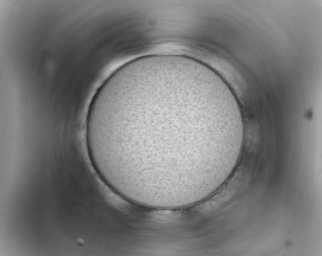 X0000102351478200808151739