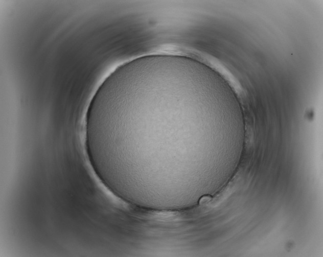 X0000102351479200808151739