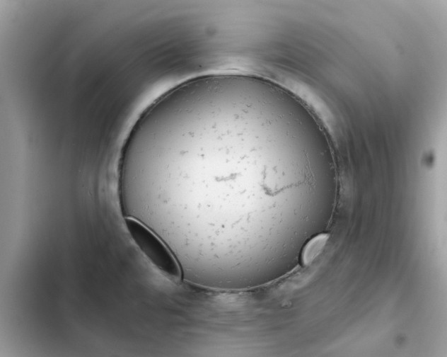 X0000102351480200808151739