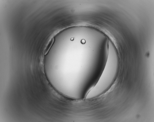 X0000102351481200808151739