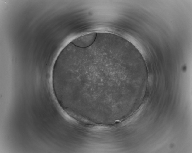 X0000102351482200808151739