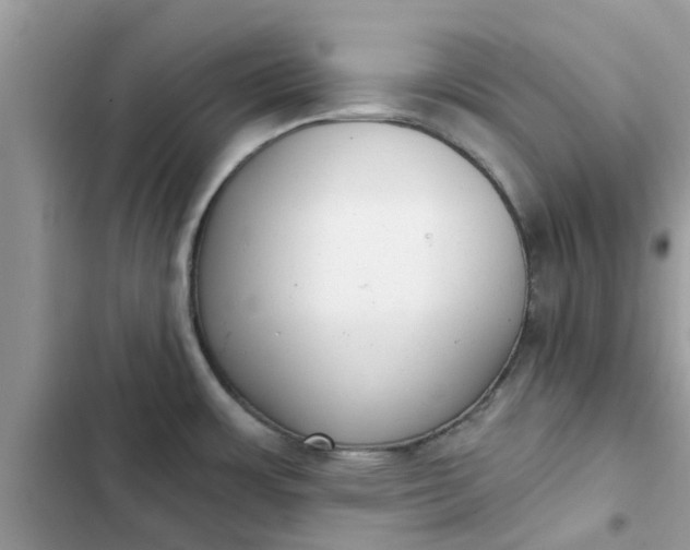 X0000102351483200808151739