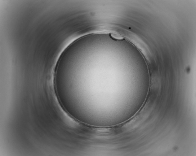 X0000102351484200808151739