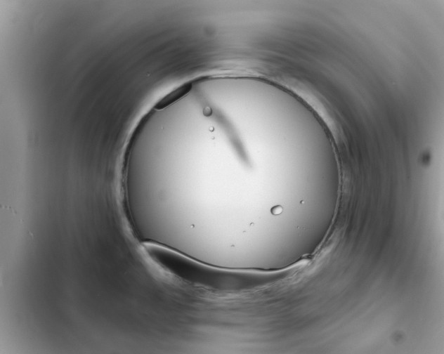 X0000102351485200808151739