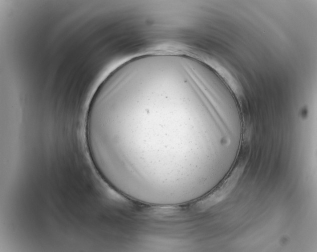 X0000102351486200808151739