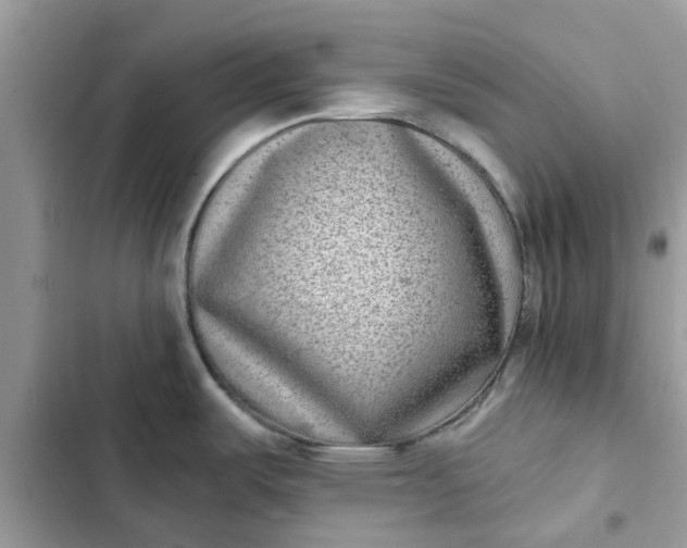 X0000102351487200808151739