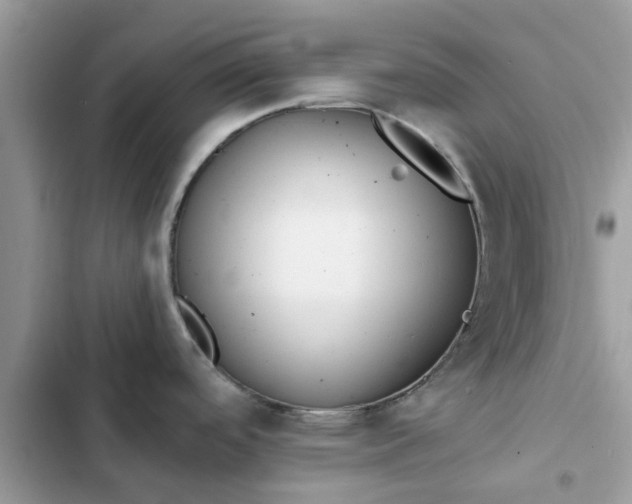 X0000102351488200808151739