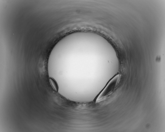 X0000102351490200808151738